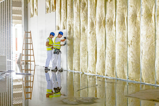 Best Insulation Maintenance and Repair in Lanse, MI